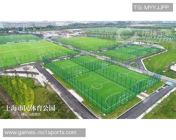 标准足球场建设费用解析及影响因素详解