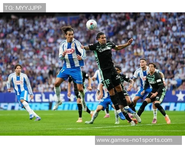 足球前锋在英语中的表达与相关术语解析及其在比赛中的重要性分析